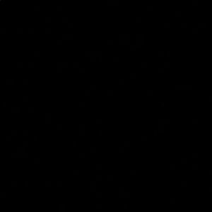 Meet your Posher, Max